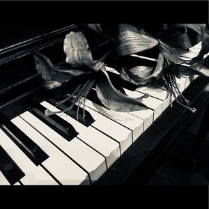 Meet your Posher, Yvette